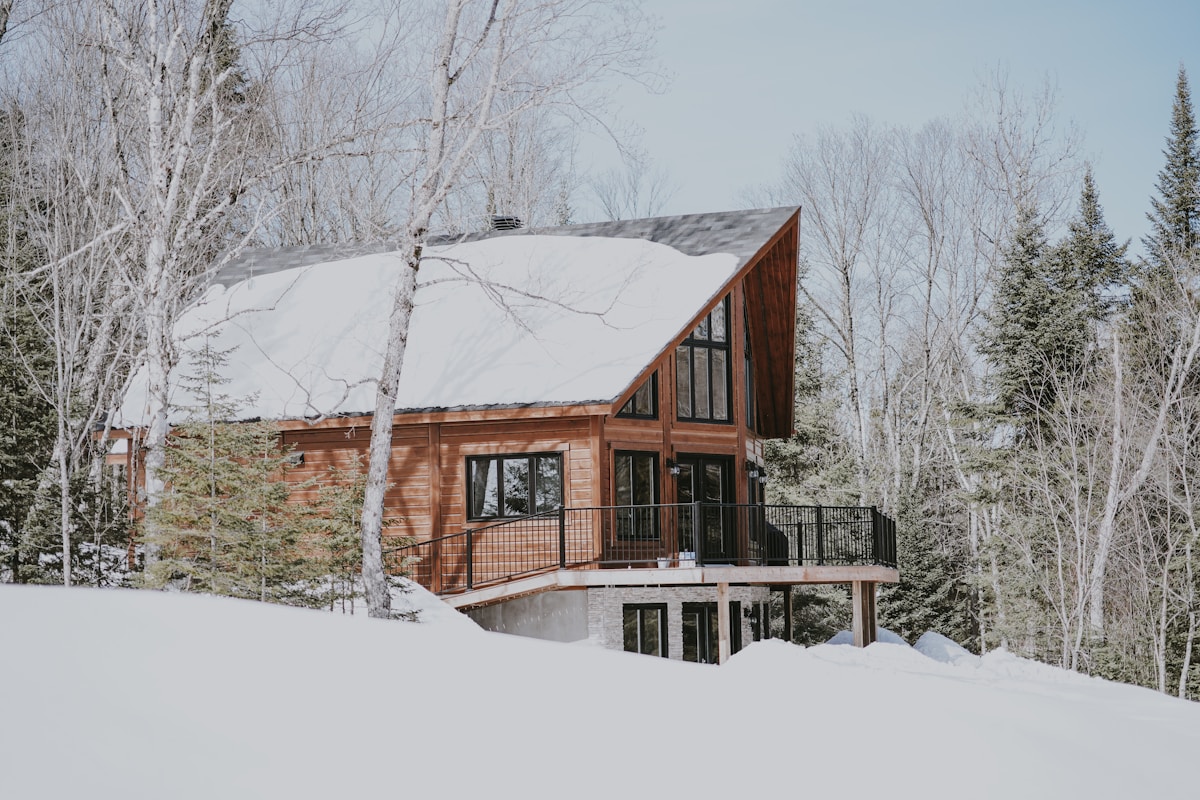 Cabin nestled among snow-covered trees